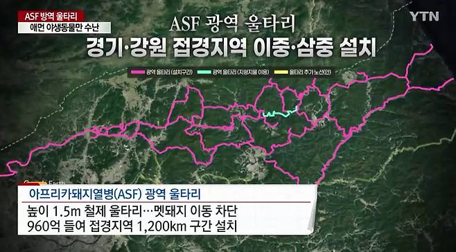 ▲멧돼지 이동을 막겠다며 설치한 ASF 광역울타리