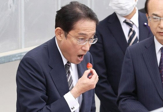 기시다 후미오 일본 총리가 17일 오후 일본 후쿠시마현의 한 딸기 농장에서 딸기를 맛보고 있다. (사진=연합뉴스)