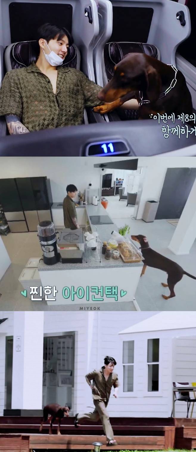 방탄소년단 정국, 반려견 '밤'도 글로벌 슈스..'도베르만' 구글 트렌드 장악→틱톡 #jeonbam 1680만뷰