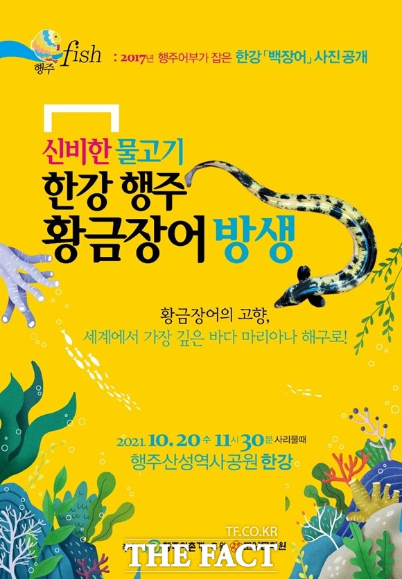고양시 행주어촌계가 '황금장어' 방생행사를 행주산성역사공원에서 20일 개최한다./고양시 행주어촌계 제공