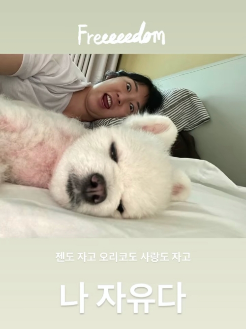 Broadcaster Sayuri enjoyed a peaceful time after a long time.Sayuri posted a picture on his personal instagram on the 19th, along with an article entitled Zendo sleeps, Orico sleeps, love is free.In the open photo, Sayuri is lying on the bed and taking a selfie.Sayuri, who has a peaceful time when his son and his dog are all asleep, enjoys freedom with a look that can not hide happiness.In particular, Sayuri, who has been loved by many characters in the 4th dimension, has a son and still reveals his unique bright charm and laughs.Meanwhile, Sayuri gave birth to her son, Jen, who was obtained through in vitro procedures, last year. She is currently appearing in KBS2 entertainment Superman Returns. She recently released an essay and collected topics.sayuri SNS