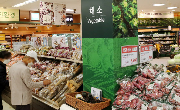 장보기 무서운 물가 상승률 - 19일 서울의 한 대형마트에서 한 시민이 채소를 고르고 있다. 한국소비자단체협의회 물가감시센터에 따르면 올해 생활필수품 38개 품목 가운데 29개 품목 가격이 전년 대비 평균 6.3% 올랐다. 이달 전체 소비자물가 상승률도 3%까지 치솟을 것으로 관측된다.연합뉴스