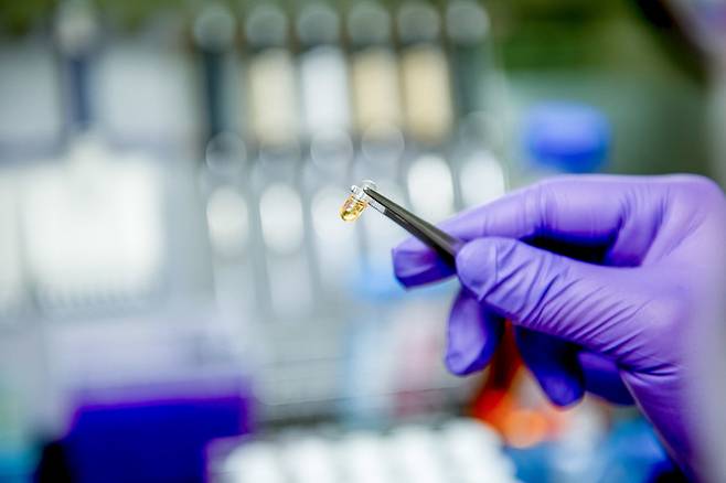 한국비엔씨의 안트로퀴노놀. *재판매 및 DB 금지