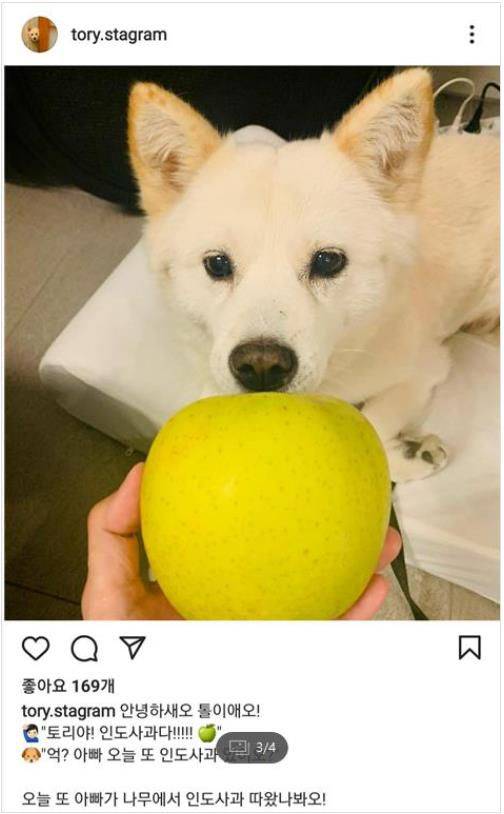 윤석열 전 검찰총장이 21일 '전두환 옹호 논란' 발언과 관련해 유감을 표명하기 전 소셜미디어에 올린 사진. /인스타그램