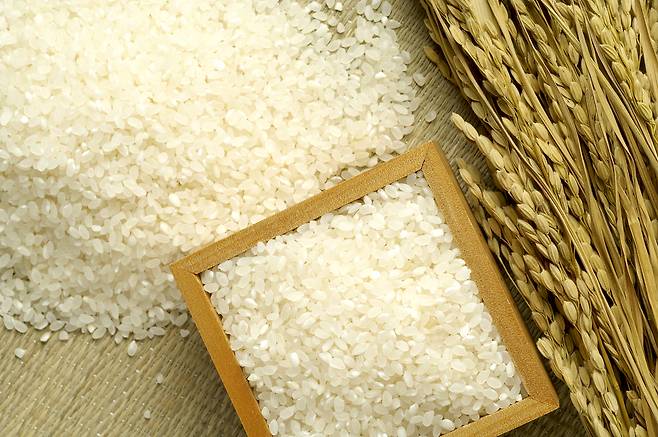 서삼석 의원(더불어민주당)에 따르면 쌀 재고도 역대 최저수준인 것으로 드러났다./사진제공=이미지투데이