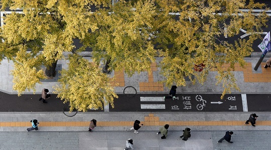 지난 21일 오전 서울 도심에서 시민들이 몸을 웅크린 채 출근하고 있다. 사진=뉴시스