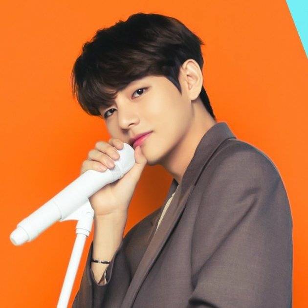 방탄소년단 뷔(BTS V)