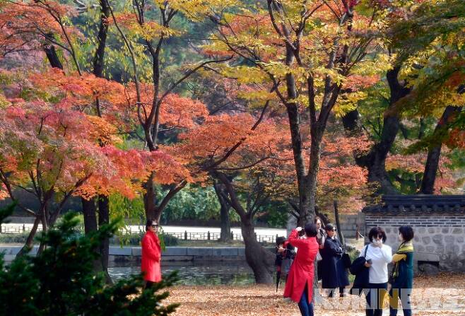 서울 종로구 창덕궁 후원을 찾은 시민들이 가을 정취를 만끽하고 있다.   사진=박효상 기자