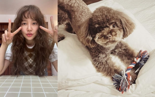 Actor Yoon Eun-hye has reported on the latest.On Monday, Yoon Eun-hye posted two photos on his instagram with the words Race Firm + Hippy Firm = Greyshippy Firm or maybe ... = Joy Style.Yoon Eun-hye in the public photo attracted attention with the style of Poggle Poggle Perm Hair.Meanwhile, Yoon Eun-hye recently became the third Cooking in the JTBC food variety show Cooking - Iron Chef America.Photo: Yoon Eun-hye SNS