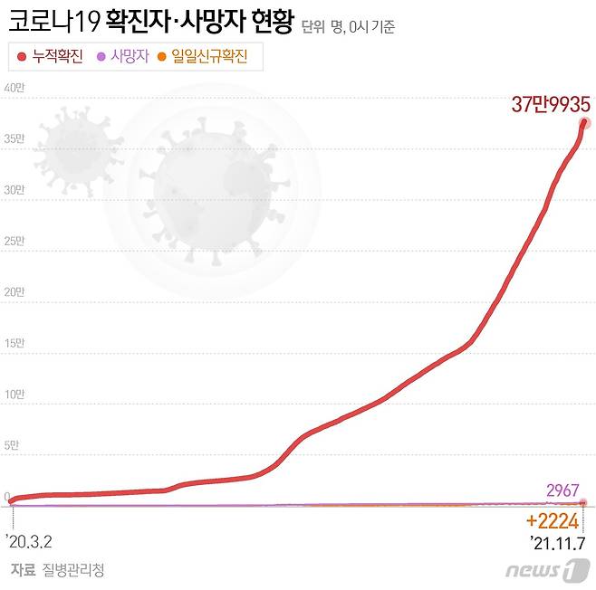 © News1 김초희 디자이너