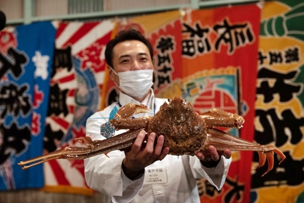7일 NHK월드는 일본 이시카와현 가나자와 항구에서 열린 경매에서 수컷 대게 한 마리가 이 같은 가격에 낙찰됐다고 보도했다.