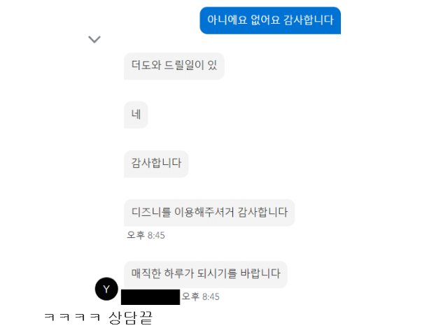 15일 한 온라인 커뮤니티에 올라온 디즈니 플러스 1:1 고객 상담 서비스 이용 후기 중 일부. 커뮤니티 캡처