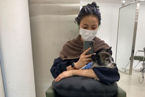Actor Ahn Hye-Kyung has released a photo of him with his dog in a hair salon.Ahn Hye-Kyung posted a picture on his 21st day with an article entitled Where are you looking at Lucky?The photo shows Ahn Hye-Kyung taking a selfie in a hair salon with a dye on his head.Hugh Hye-Kyungs arm is looking at her somewhere in a relaxed manner.A cute two-shot of Ahn Hye-Kyung and Luckys daily life in the style transformation catches the eye.On the other hand, Ahn Hye-Kyung is meeting with fans through SBS entertainment Shouldering Girls.