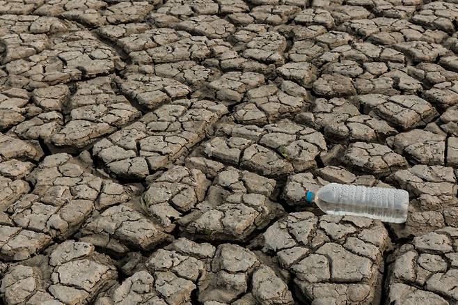 (사진=이미지투데이)