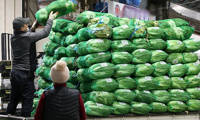 지난 23일 광주 서부농수산물도매시장에서 상인들이 판매된 배추를 차량에 싣고 있다. 연합뉴스