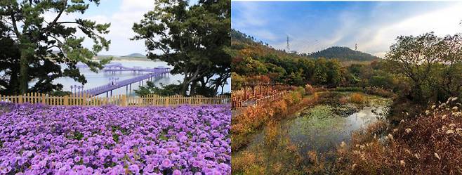 전남 ‘신안군 퍼플섬(왼쪽)과 고창군 고인돌·운곡습지마을. 한국관광공사·연합뉴스