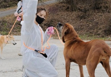 Actor Shin Se-kyung showed off his extraordinary beauty.On the afternoon of the 6th, Shin Se Kyung posted a picture on his instagram with the phrase with Bitme.In the photo, Shin Se Kyung spent time with a puppy at the Organic Dog Protection Center. I felt sincere in concentrating on puppy training.Above all, the appearance of taking care of the dogs skillfully attracted peoples attention.Meanwhile, Shin Se-kyung released the original film Anathema Records on the 28th of last month.Another Records is a cinematic real documentary film about the story that no one knew about Shin Se Kyung.