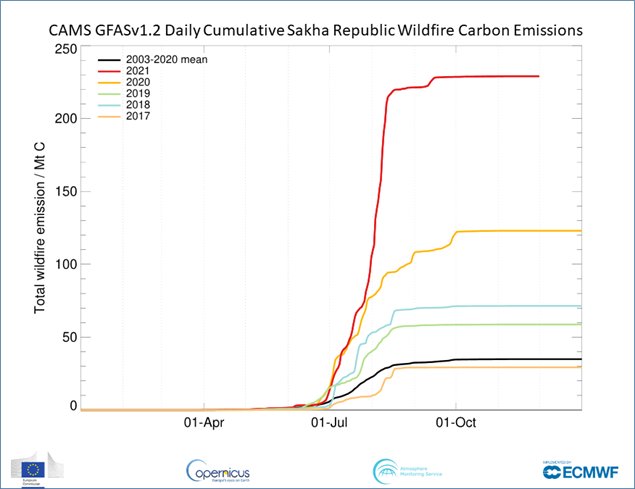 시베리아 야쿠티아(사하공화국) 지역의 산불에 따른 일일 누적 탄소 배출량 추이. 올해가 예년과 비교해 압도적으로 많은 수치를 보이고 있다. 자료 CAMS