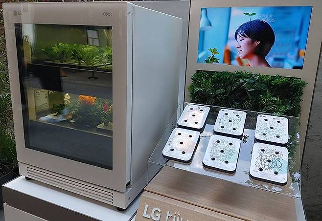 LG전자 생활식물'신'가전, LG 틔운