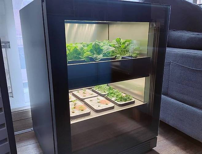 LG 틔운은 먹기 위함 보다는 관상/관리 위함의 식물재배기다