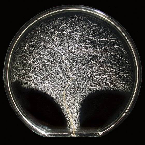 앨리스 시몬의 핵 미술 대표작 '생명수'(1971년). 아크릴에 방사선을 쬐어 만들었다. Tree of Life