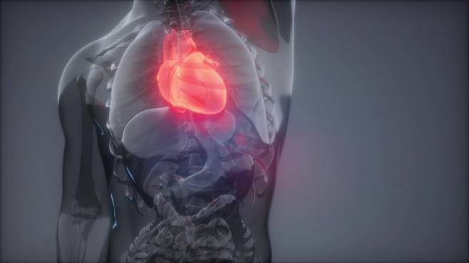 심근염은 심장 근육에, 심낭염은 심장을 둘러싼 막에 염증이 생긴 것을 말한다 (사진=이미지투데이)