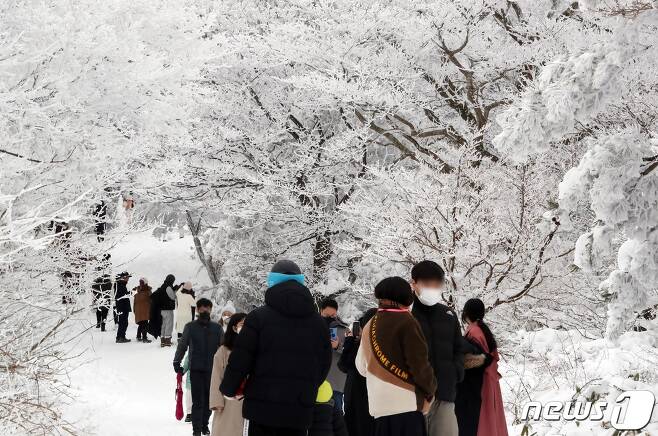 제주 한라산 1100고지에서 도민과 관광객들이 겨울 정취를 즐기고 있다. 2021.12.28/뉴스1 © News1 오현지 기자