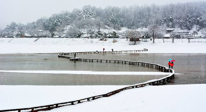 겨울 무섬마을 설경