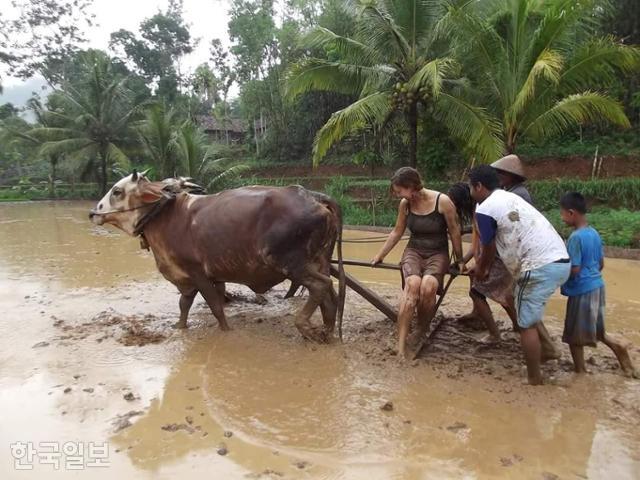 인도네시아 욕야카르타(족자)특별자치주 응랑그란 마을에서 농사 체험을 하고 있는 관광객들. 트리야나씨 제공