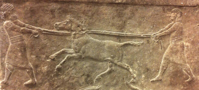 야생 당나귀를 사냥하는 모습. 기원전 645~635년께 앗시리아 니네베에서 제작된 부조 그림이다. 영국박물관/프랑스국립과학연구원 제공