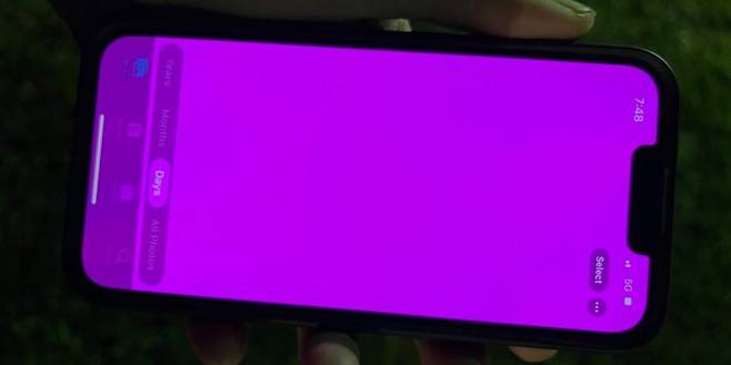 아이폰13 일부 모델에서 화면이 분홍색으로 변하는 문제가 발생했다 / 사진 = 나인투파이브맥 홈페이지 캡처