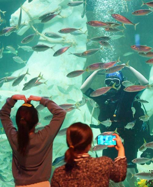 스킨스쿠버 체험 중인 어린이가 수족관 밖 가족에게 손하트를 그리는 모습.