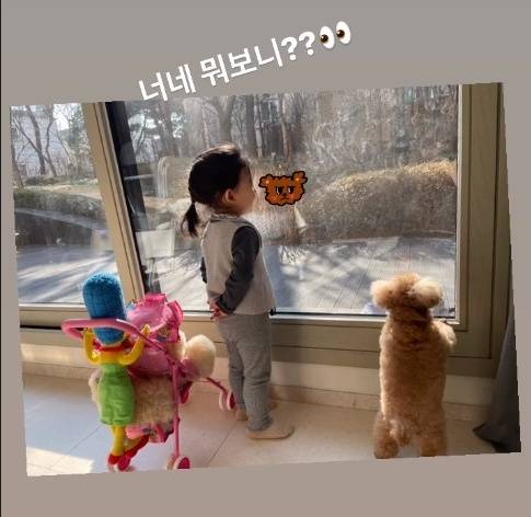 Actor Choi Ji-woo has revealed his daily life with his daughter who grew up.Choi Ji-woo posted a picture on his Instagram story on the 22nd with an article entitled What are you guys looking at?The photo shows Choi Ji-woos daughter standing side by side with her dog and looking out the window at the scenery.Choi Ji-woo pointed to her daughter with her back, saying, Why is the back of her back? And wrote, 21 months baby.The appearance of her daughter, who grew up in comparison with the picture she posted in February last year, attracted particular attention.Meanwhile, Choi Ji-woo marriages a businessman aged nine in 2018 and gave birth to a daughter in 2020.