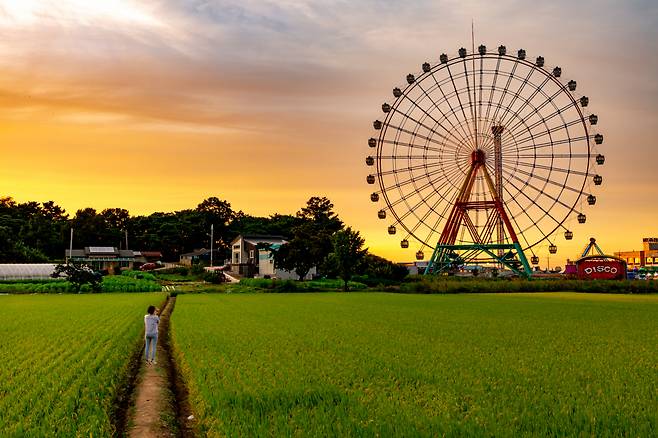 충남 당진은 솔뫼성지~신리성지로 이어지는 성지순례와 일출-일몰을 한곳에서 보는 왜목 등으로 유명하다. 아산과 가까운 삽교놀이동산은 석양 명소이기도 하다.
