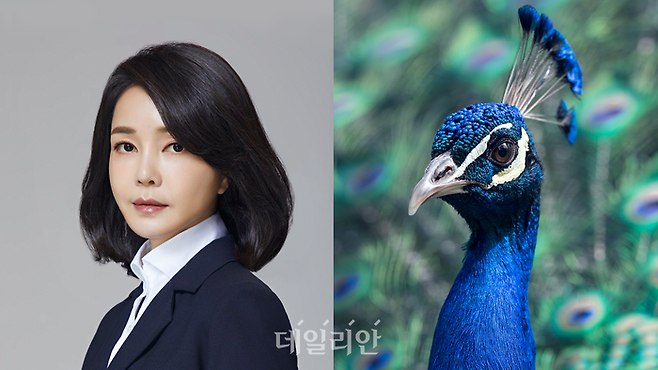 국민의힘 윤석열 후보의 배우자 김건희 여사는 '공작상'이다. ⓒ공식 프로필/언스플래쉬