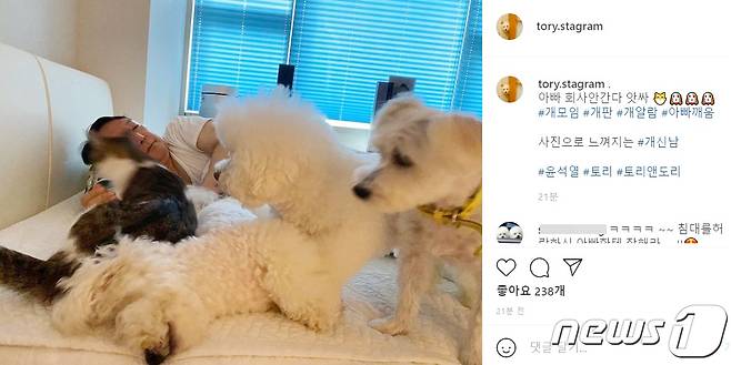 윤석열 당선인이 서울 서초구 자택에서 반려동물들과 함께 있는 모습. (반려견 인스타그램 '토리스타그램'캠처) 2021.8.6/뉴스1