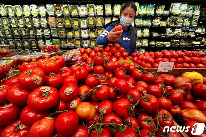 러시아의 우크라이나 침공으로 인해 전세계가 식량난을 겪을 수 있다는 전망이 나왔다. © 로이터=뉴스1 © News1 이서영 기자