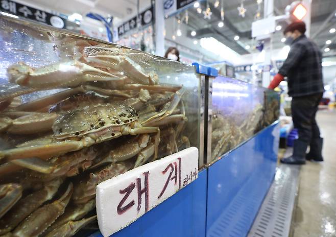 우크라이나 사태로 러시아산 대게 값이 예년의 절반 수준으로 폭락했다. 러시아에 대한 서방의 제재로 수출이 어려워진데다 코로나로 상하이가 봉쇄되면서 중국으로 갈 물량이 대거 유입되었기 때문이다. 사진은 경기도 수원시농수산물도매시장 수산동의 한 가게 수조에 러시아산 대게가 들어있는 모습. /뉴스1