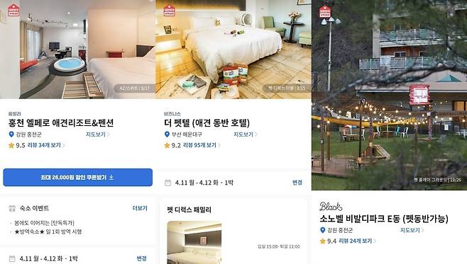 반려견 동반 가능한 숙박시설(여기어때 홈페이지 갈무리) © 뉴스1