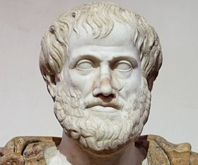 기원전 4세기 경의 그리스 철학자 아리스토텔레스는 사람의 인상을 동물에 비유해 분류했다. 사진은 로마 시대 때 대리석으로 만든 아리스토텔레스 흉상./위키피디아