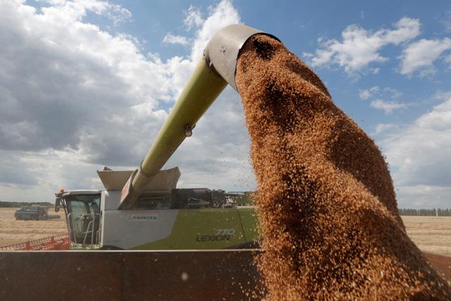 17일 우크라이나의 수도 키이우 외곽 지역에서 콤바인으로 수확된 밀이 트럭 위로 쏟아지고 있다. 러시아의 우크라이나 침공 후 국제 곡물가가 급등하며 식량 위기가 고조되고 있다. 키이우=로이터 연합뉴스