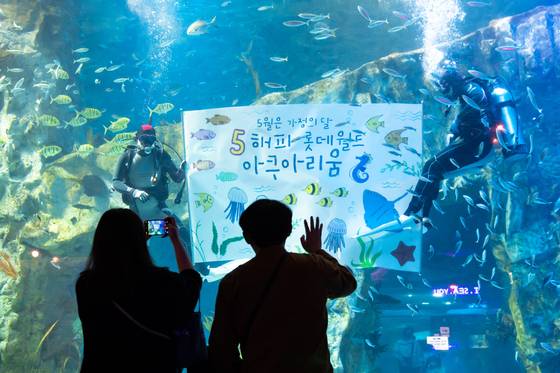 롯데월드 아쿠아리움 수중 포토타임