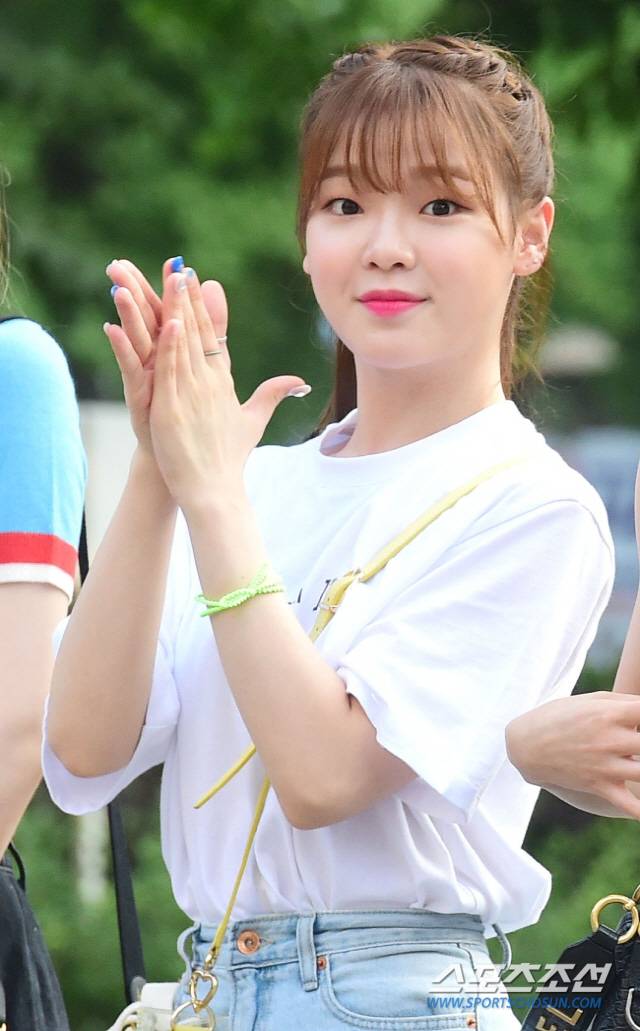 스포츠조선DB