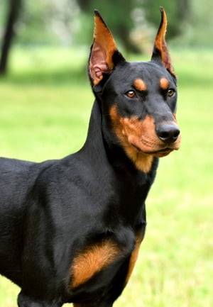 사진=게티이미지뱅크