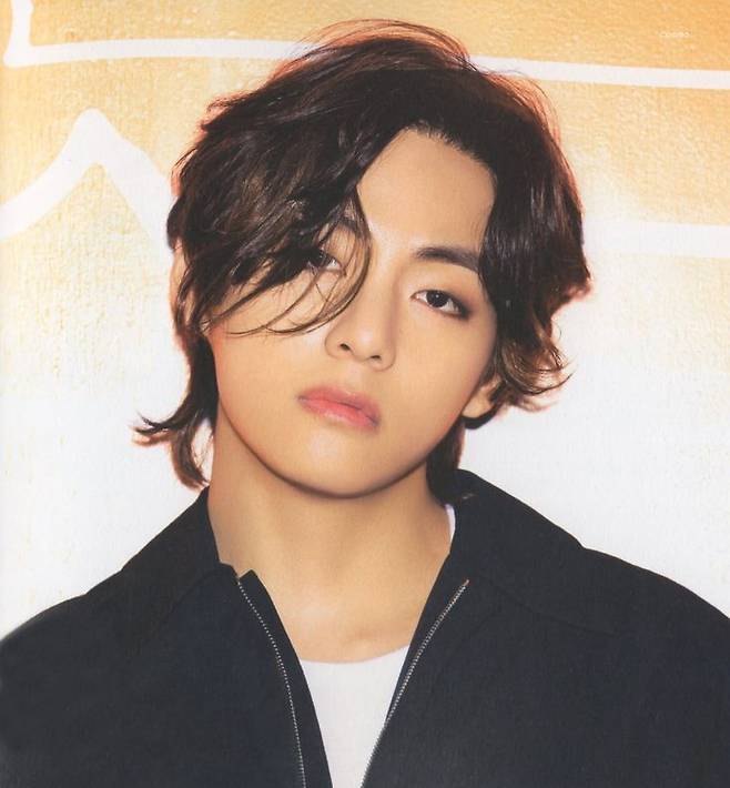 방탄소년단 뷔, 4월 韓인스타그램 팔로워 증가 1위..'인스타 킹'