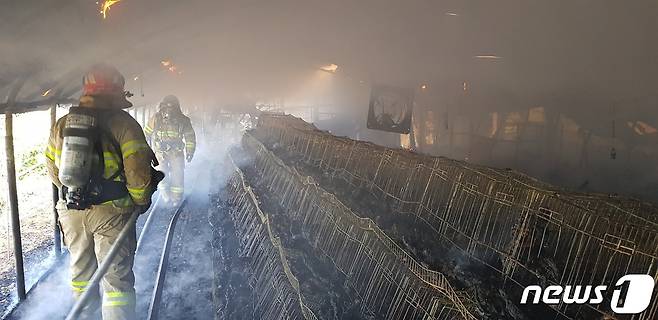 14일 오전 경북 의성군 금성면의 한 닭사육 농장에서 불이 나 닭 9000여마리가 폐사했다.(경북소방본부 제공)© 뉴스1