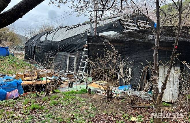 한강수계 매수토지 내 불법으로 비닐하우스를 설치하는 점유행위 현장. (사진= 한강유역환경청 제공)