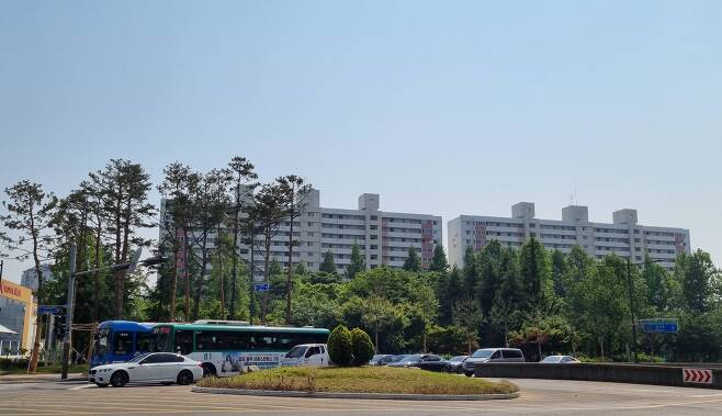 17일 이재명 더불어민주당 인천 계양을 국회의원 후보 선거사무소 맞은편 도로. 새로 심어진 나무에 잎이 풍성하게 자라나 있다./김자아 기자