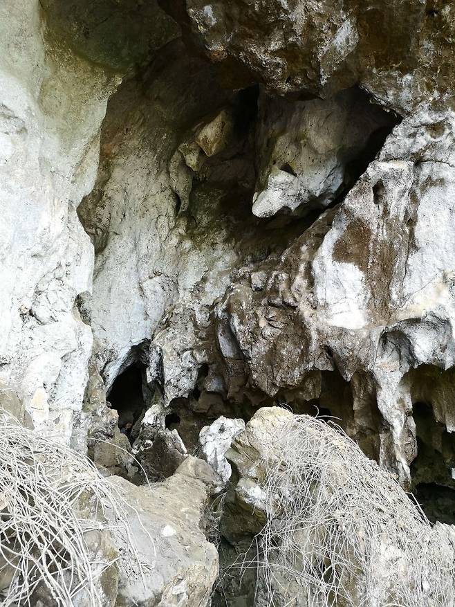 라오스 북동부 안남 산맥 석회암 동굴 '탐 은구 하오'의 모습이다. 이곳에서 데니소바인의 것으로 추정되는 어금니와 동물 뼈 화석들이 발견됐다. 파브리세 데메테르 제공