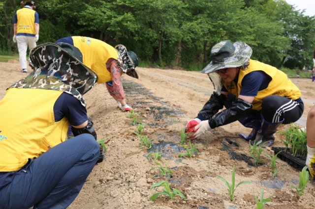 ▲한국남동발전 나눔봉사단 20명은 사랑그림숲을 찾아 농촌 일손돕기 봉사활동을 펼쳤다. ⓒ한국남동발전
